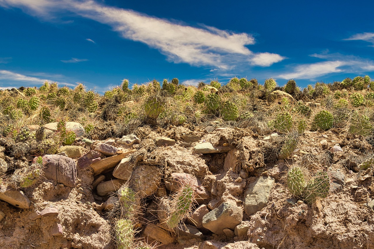 The Untouched Beauty of Argentina’s Quebrada de Humahuaca